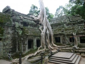 P10301161