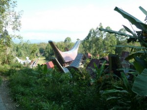 P10305451